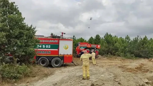 Arnavutköy'de ormanlık alanda yangın