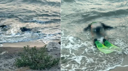 Balık tutmak için denize girmişti: Kıyıda cansız bedeniyle karşılaştılar!