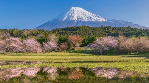 Fuji Dağı'nda mahsur kalanlara dev fatura! Kurtarılmak isteyen cebinden ödeyecek: Tarih açıklandı