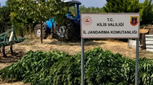 Kilis'te jandarmadan uyuşturucu operasyonu: 40 kilo 500 gram kubar esrar ele geçirildi