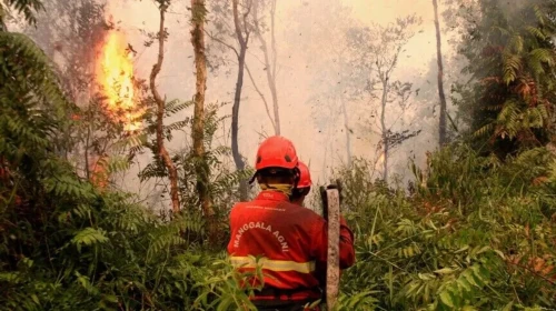 Aylardır sönmeyen yangınlar felakete dönüştü! 175 bin kişi hastanelik oldu: Ülkeyi zehirli duman kapladı