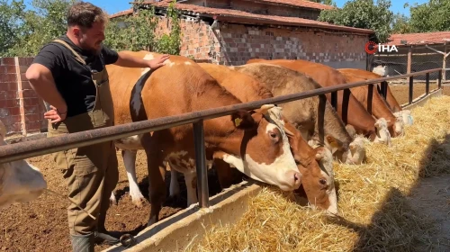 Memurluktan istifa edip hayalini gerçekleştirdi: Köyünde çiftlik kurdu