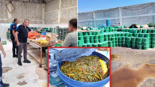 Mersin zabıtasından iğrenç tuzağa baskın... Markalı etiket basıp millete satacaklardı! Çöp sularının içinde tonlarca küflü turşu ele geçirildi
