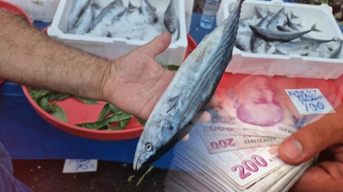Fırtına balıkçıları durdurdu, palamut fiyatı düştü! Tanesi 75 TL'ye satılıyor