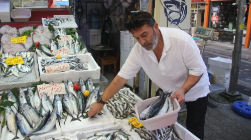 Balık fiyatları çakıldı: Hamsi 200, palamut 100 TL! Balık tezgahları doldu taştı