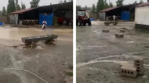 Sivas'ta şiddetli yağış sele neden oldu : Tarım arazileri zarar gördü