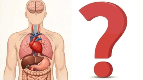 Vücudunuz sizi uyarıyor olabilir ! Hangi Sinyallere Dikkat Etmelisiniz ?