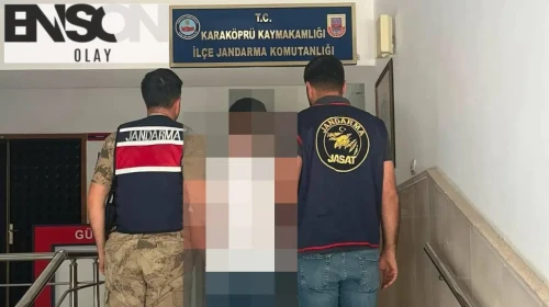 Şanlıurfa'da firari şahıs jandarma operasyonuyla yakalandı
