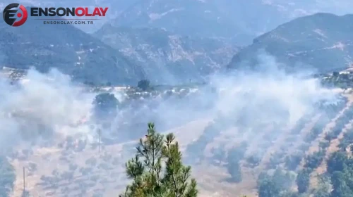 Kahramanmaraş'ta bahçe yangını : Ekipler tarafından kontrol altına alındı