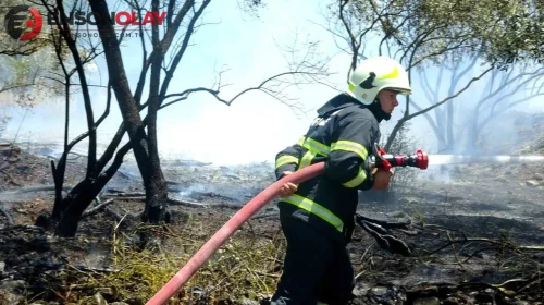Menteşe’de zeytinlik alanda çıkan yangın hızla kontrol altına alındı