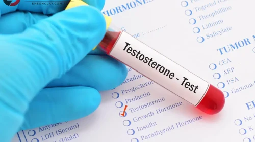 Testosteron nasıl arttırılır?