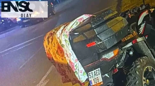Köpeğe çarpmamak için yaptığı manevra hayatına mal oldu