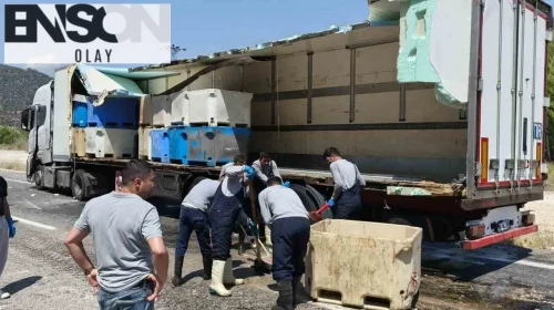 Seyir halindeki tırın dorsesi patladı, 15 ton balık atığı yola saçıldı