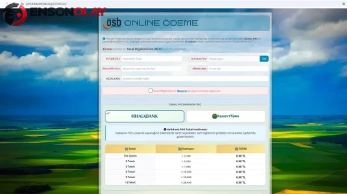 Kayseri OSB sanayicisine sanal POS üzerinden taksit imkanı
