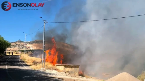 Adıyaman'da Karga Panik Yarattı: Orman Yangını Kontrol Altına Alındı