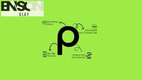 Parolapara Nedir, Güvenilir mi? Elektronik Para Kuruluşu Hakkında Bilinmesi Gerekenler