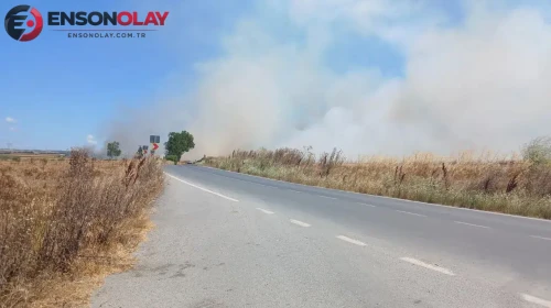 Silivri'de tarlada yangın : Ekipler vatandaşları uyardı