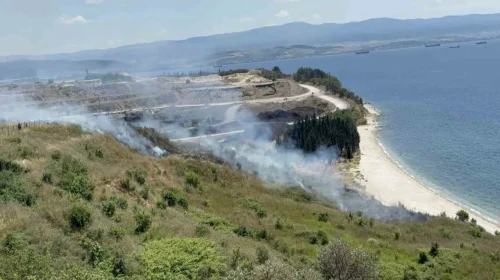 Darıca'da çıkan yangına vatandaşlar müdahale etti