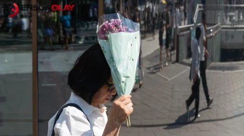 Avrupa'da aşırı sıcaklar hayatı durdurdu!