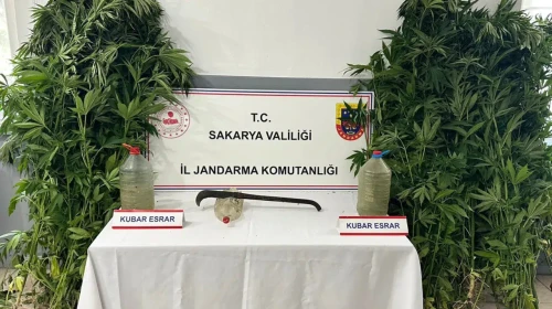 Sakarya'da 3 ilçede uyuşturucu operasyonu : 3 tutuklu