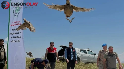 Adıyaman Sincik'te 200 keklik doğaya salındı