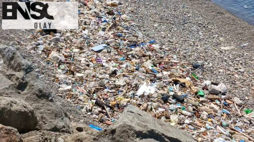 Trabzon sahilinde çöp seferberliği