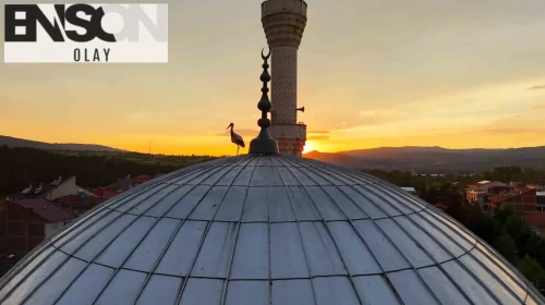 Kastamonu’da kartpostallık manzara: Leylekler gün batımında cami kubbesini mesken tuttu