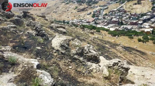 Mardin’in yeşilli ilçesinde orman yangını söndürüldü