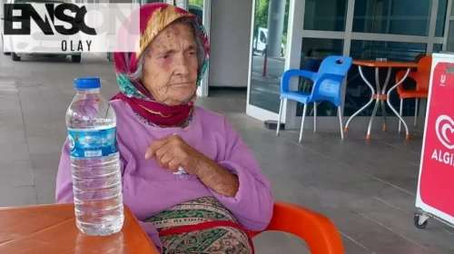 Giresun'un ormanlık alanında 6 gün boyunca kayıp olan kişinin acı haberi geldi!
