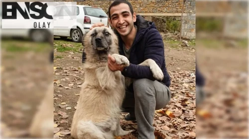 Melis Alaei kimdir?