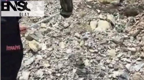 Evdeki davetsiz misafir paniğe neden oldu: İtfaiye ekipleri santim santim aradı