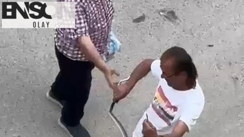 Evde korku dolu anlar: Yılanı bir hamlede etkisiz hale getirdi