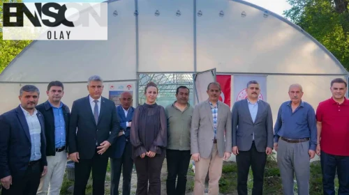 Hakkâri'de tarımsal üretim atağı: Binlerce fide toprakla buluştu