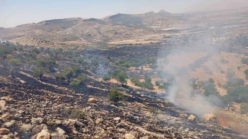 Mardin'de ormanlık alanda çıkan yangına müdahale ediliyor