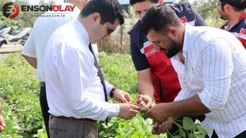 Arsuz'da soya ekimi gerçekleştirildi