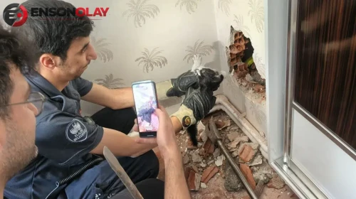 Elazığ'da baca boşluğuna sıkışan yavru kedi kurtarıldı