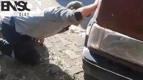 Otomobilin kaputuna gizlenen davetsiz misafir: Sürücü gördüğüne inanamadı