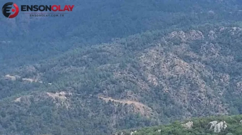 Marmaris'te yol kenarında çıkan yangın ormana sıçradı