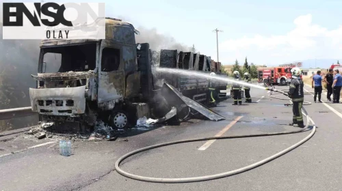 Denizli’de korku dolu anlar: Beyaz eşya yüklü tır alev topuna döndü, tarlalar küle döndü