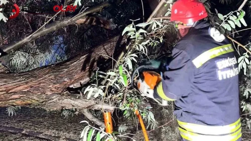 Eskişehir'de ağaç dalı otomobilin üzerine düştü, itfaiye ekipleri müdahale etti