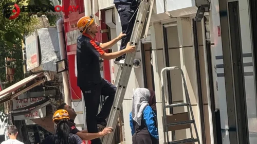 Siirt’te reklam panosuna sıkışan yavru kediyi AFAD ekipleri kurtardı