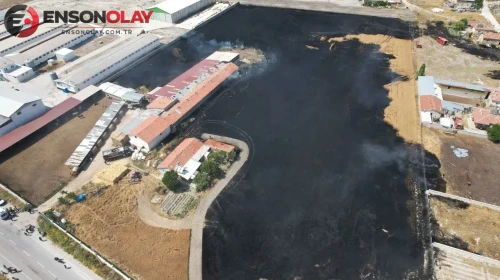 Konya Karatay’da ekili tarla alev alev yandı