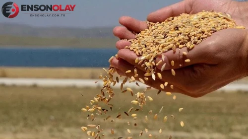 Toprak Mahsülleri Ofisi, 5 milyon tonluk hububat aldı