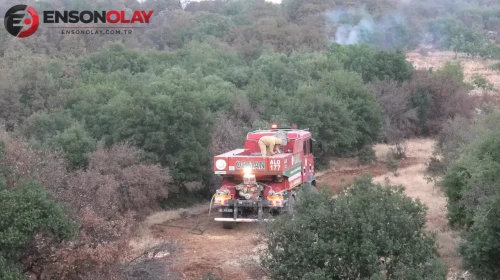 Adıyaman Besni'de orman yangını : Ekipler kontrol altına aldı