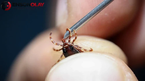 Tokat'ta KKKA alarmı: 10 kişi tedavi görüyor