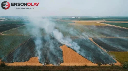 Çorum’da anız yangını yerleşim yerine sıçradı : 1 ev, 2 samanlık ve 2 ahır kül oldu