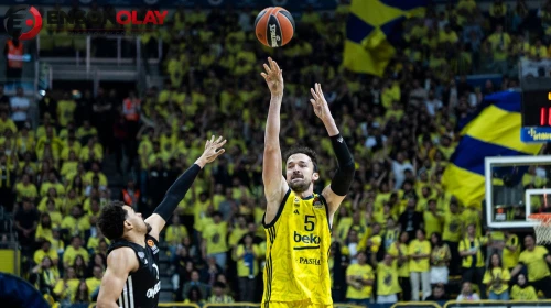 Sertaç Şanlı, Fenerbahçe'ye geri döndü