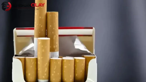 Almanya'da bir paket sigara fiyatı rekor seviyeye çıkarak 630 TL oldu