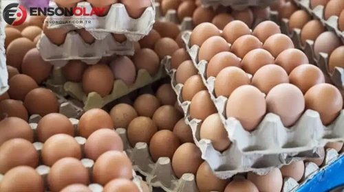 Yumurta fiyatlarındaki beklenmedik yükselişin sebepleri neler olabilir?