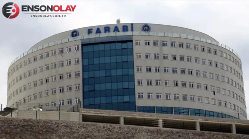 Trabzon'da mantar yiyen yaşlı kadın fenalaştı